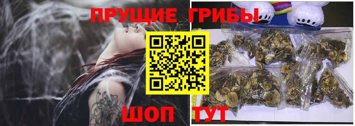 Галлюциногенные грибы GOLDEN TEACHER Партизанск